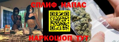 крисы Будённовск