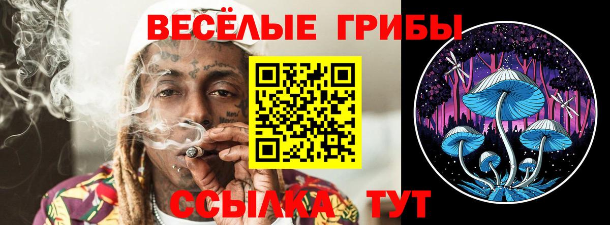Тында  Псилоцибиновые грибы MAGIC MUSHROOMS  где купить наркоту  Вход с VPN 